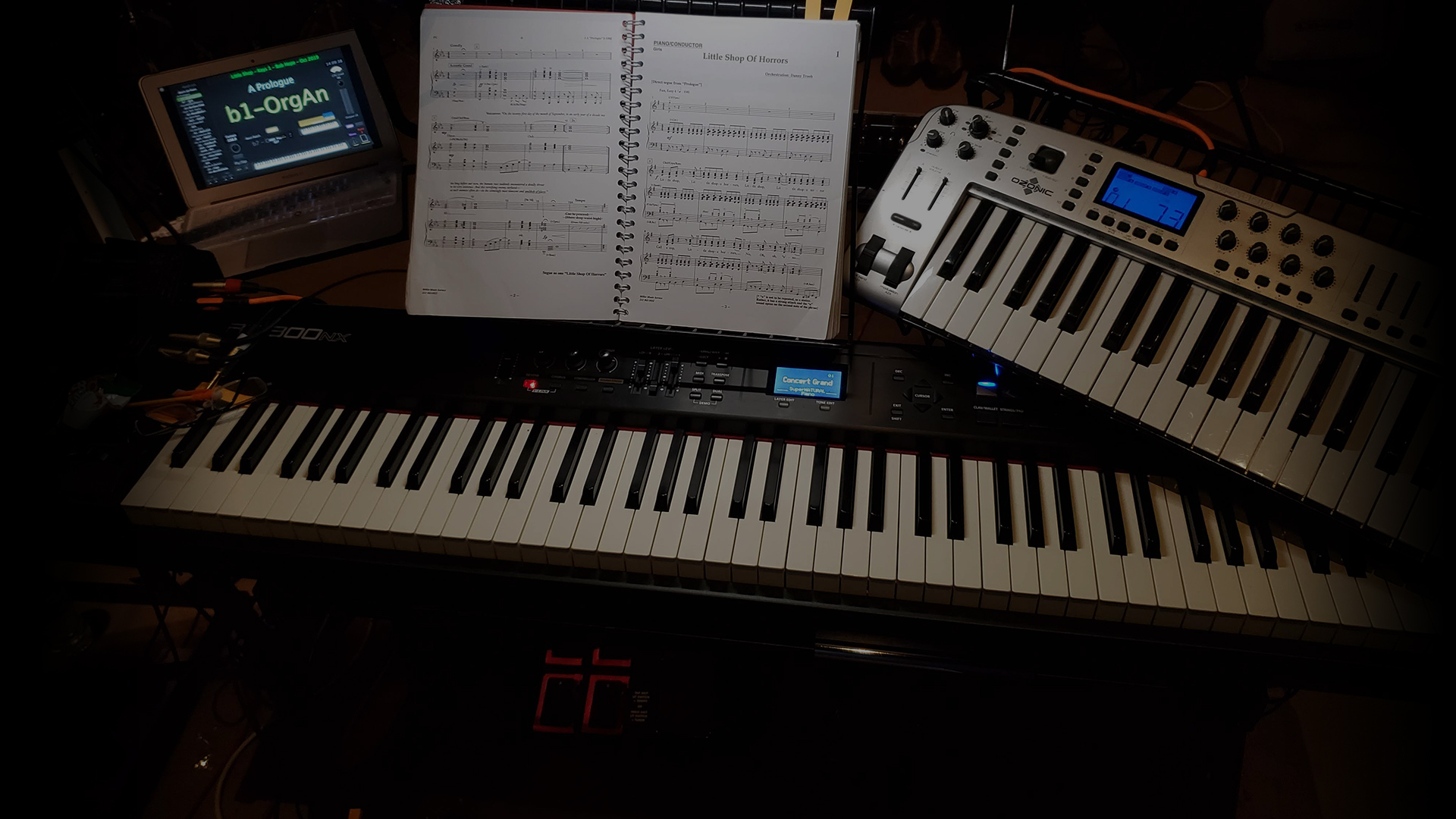 Steve Trill - Music Director, Composer, Orchestrator & Keyboard Player